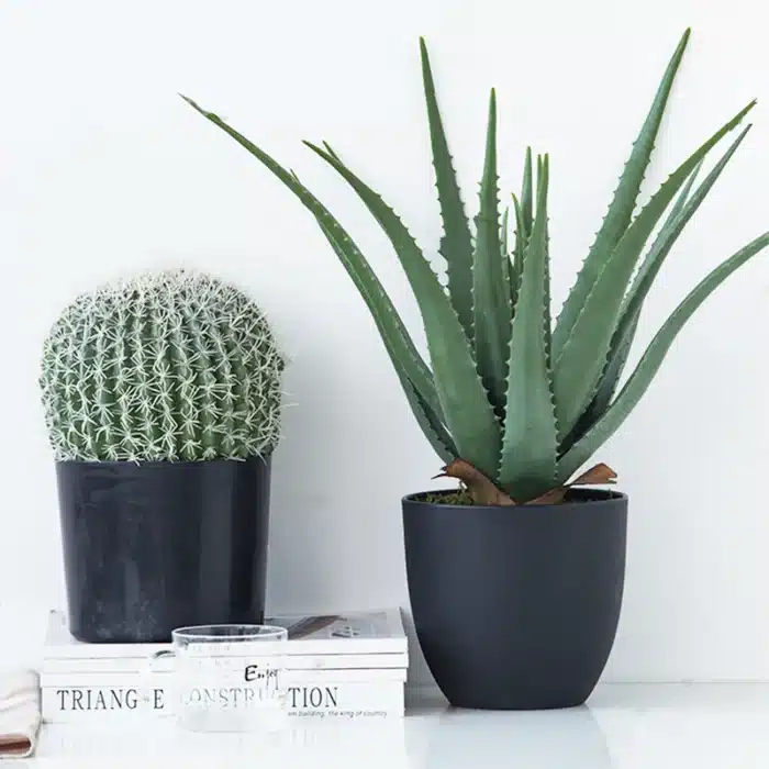 Agave artificielle 1
