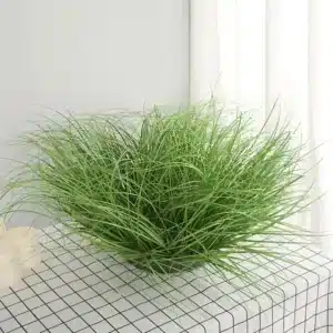 Graminées artificielles 1