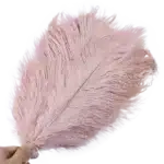 Plume d'autruche artificielle 2