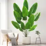 Strelitzia artificiel 2