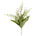 3954972946_cleanup (1)-Photoroom