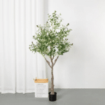 5_cleanup (4)