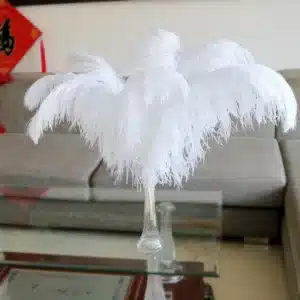 Plume d'autruche artificielle 1