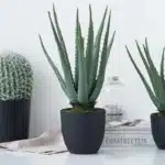 Agave artificielle 2