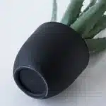 Agave artificielle 3