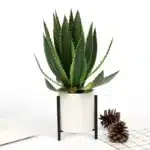 Aloe vera artificiel 1