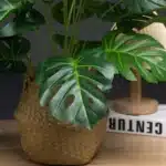 Monstera artificielle 3