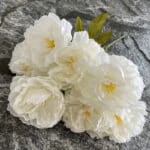 blanc_laiteux