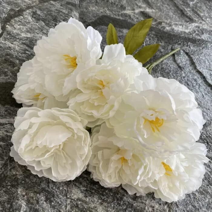 blanc_laiteux