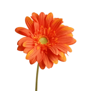Gerbera artificielle