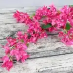 Bougainvillier artificiel 3