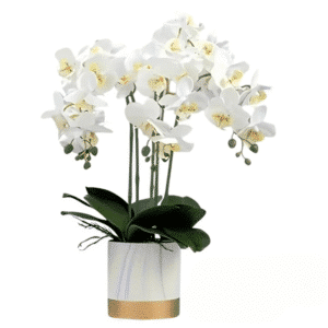 Orchidée artificielle XXL