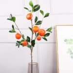 description_images__7