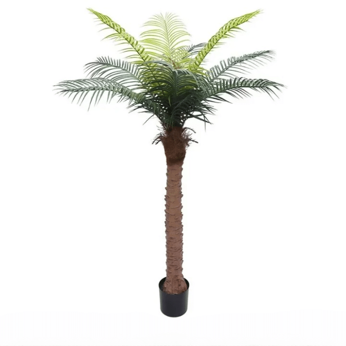 16m_coconut_tree_cleanup (3)