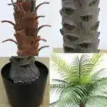 Palmier artificiel grande taille 3