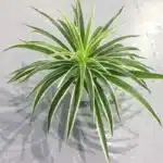 Plantes artificielles en plastique, branche de Chlorophytum, fausses plantes décoratives pour la maison, décoration de table intérieure en Pot, sans Pot 1