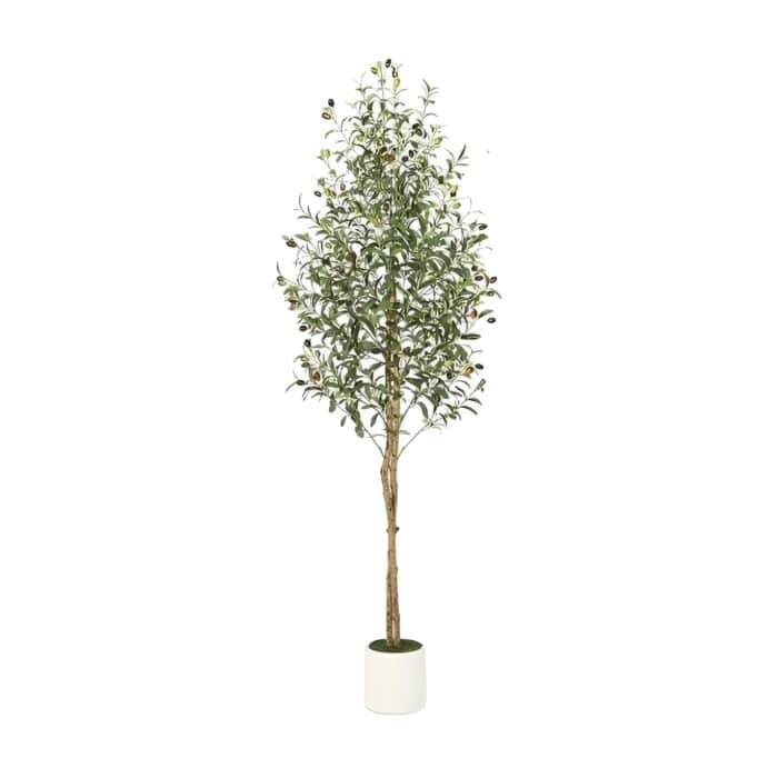 6ft_1pc_cleanup (2) (1)-Photoroom (1)