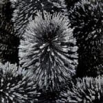 81U6QU3BebL._AC_SX679