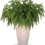 Branche sapin artificiel 2