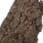 Écorce artificielle 4
