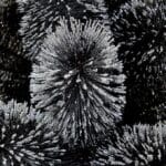 81U6QU3BebL._AC_SX679