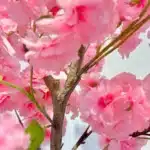 Arbre Décoratif Artificiel de 4,9 Pieds/5,9 Pieds de Haut, Faux Arbre en Forme de Fleur dans un Pot, Décor d'Angle d'Nikpour la Maison 4