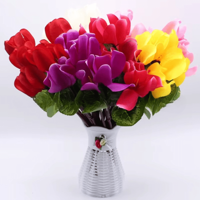 right_click_image__288dc17a-ef24-4fb0-b391-079a0389c72c_cleanup
