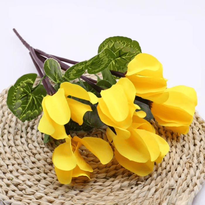 right_click_image__4edfc155-85c6-4e38-aed1-ae17face426d_cleanup