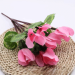 right_click_image__34922a50-f443-491d-beb7-1aed52949376_cleanup