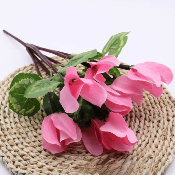 right_click_image__34922a50-f443-491d-beb7-1aed52949376_cleanup
