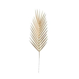 Feuille de palmier doré​