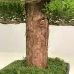 Mini bonsai artificiel 3