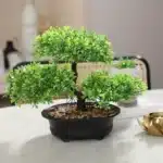 Bonsai ficus artificiel​ 1