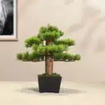Mini bonsai artificiel 1