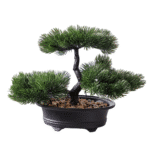 711ecf31-ecd8-475e-962a-f993663f0e02-Photoroom (1)