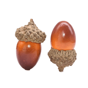 Gland artificiel