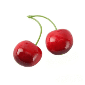 Cerise artificielle (lot de 10)