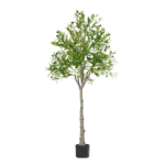 150cm5905in-Photoroom