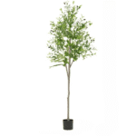 180cm7086in_cleanup