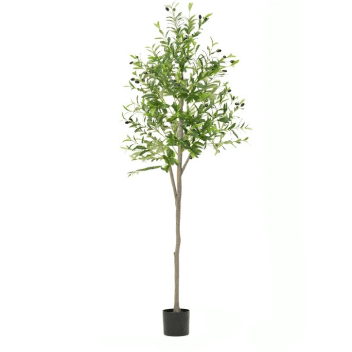 180cm7086in_cleanup