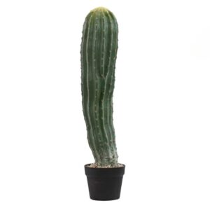 Cactus artificiel exterieur
