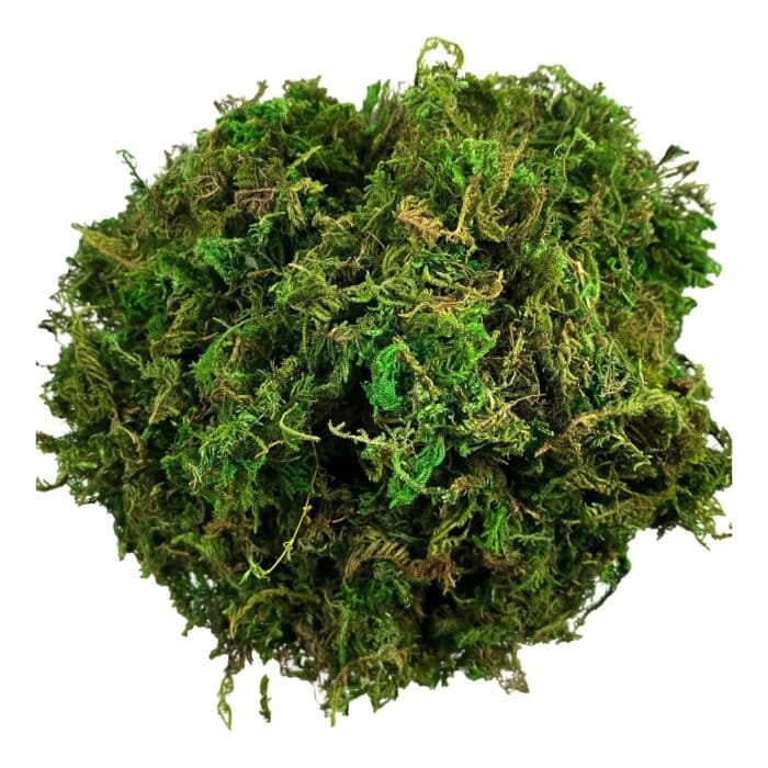 4202031108