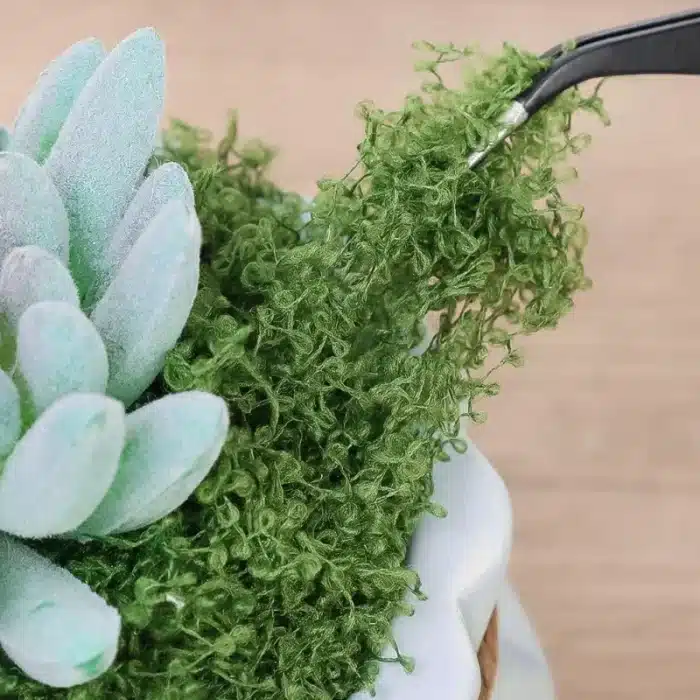Mousse végétale artificielle 3