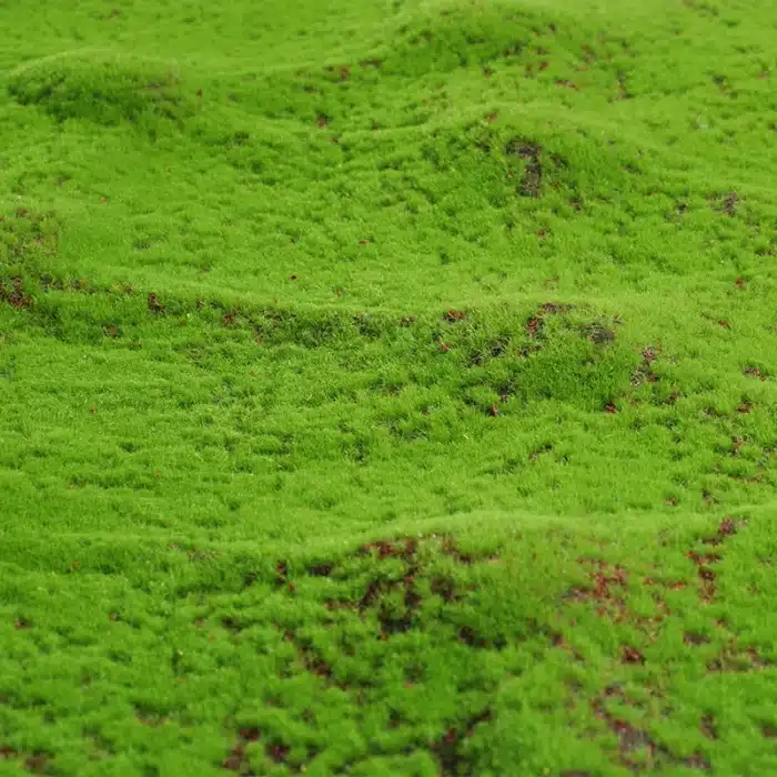 Mousse artificielle en rouleau 2