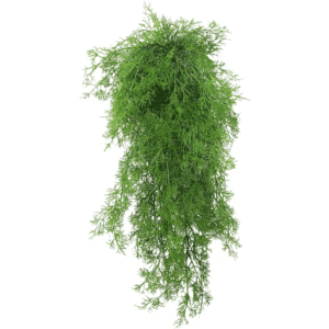 Plante tombante artificielle réaliste