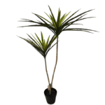 7c8a0d87-884e-44fc-ac65-3e555ab10139-Photoroom