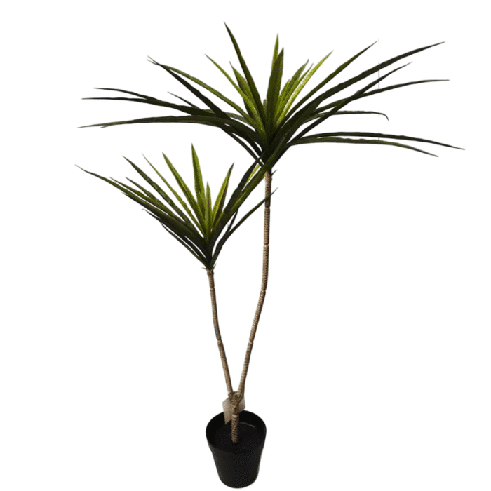 7c8a0d87-884e-44fc-ac65-3e555ab10139-Photoroom