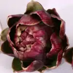 Artichaut artificiel 4