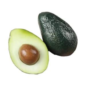 Avocat artificiel (lot de 4)