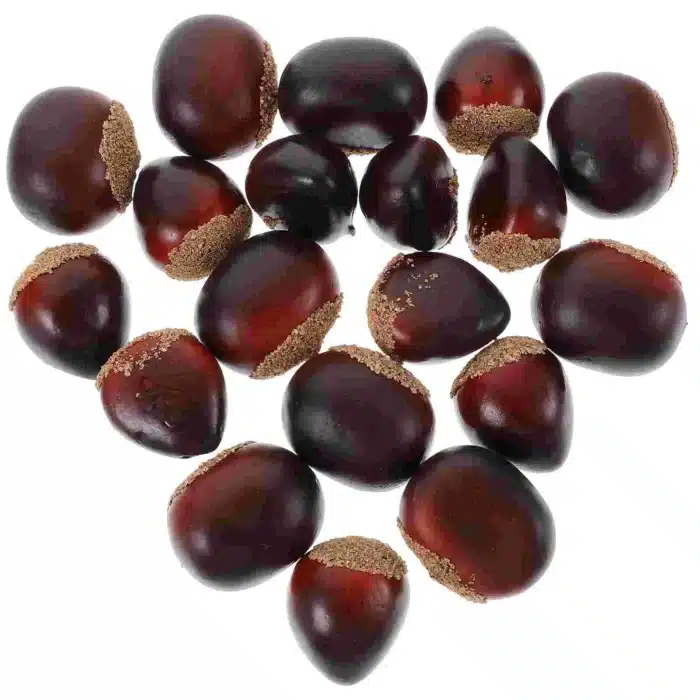 Châtaignes artificielles 2